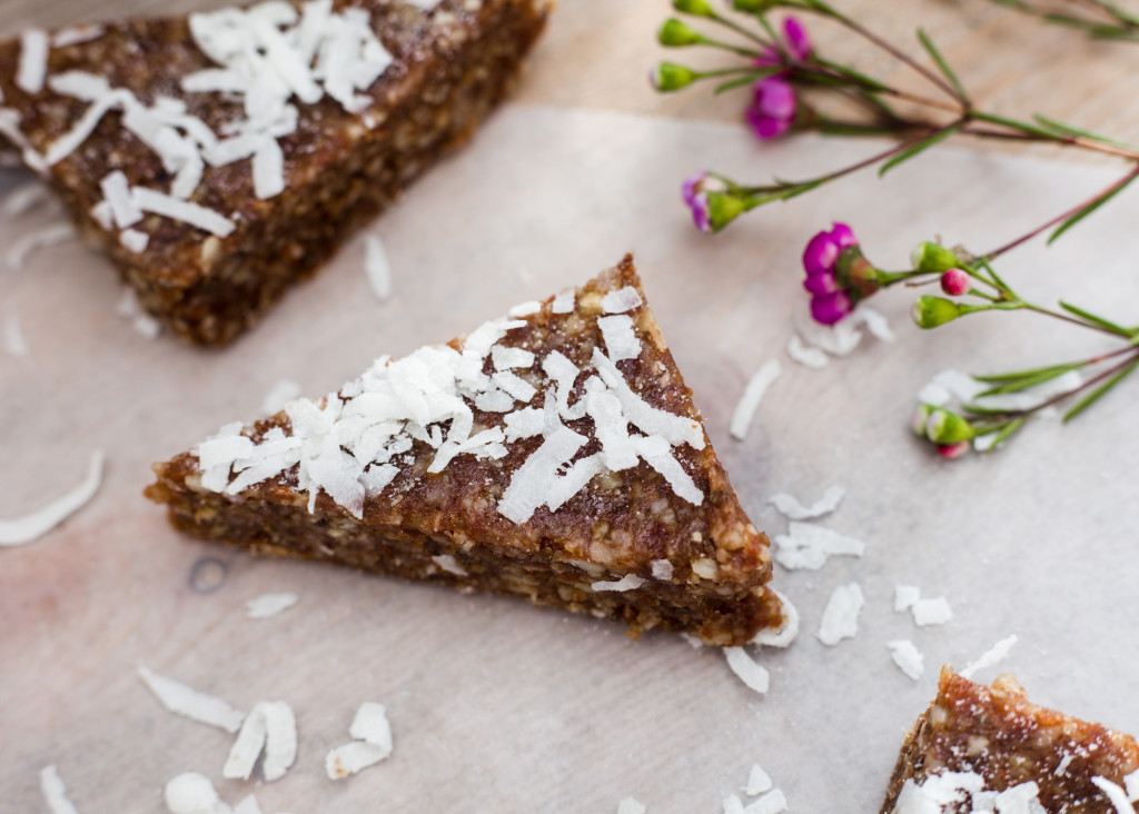 Chocolate Coconut Raw Food Bars-254
