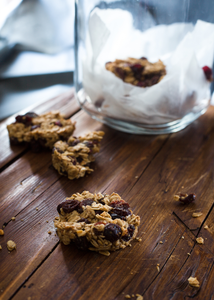 Vegan Breakfast Cookie