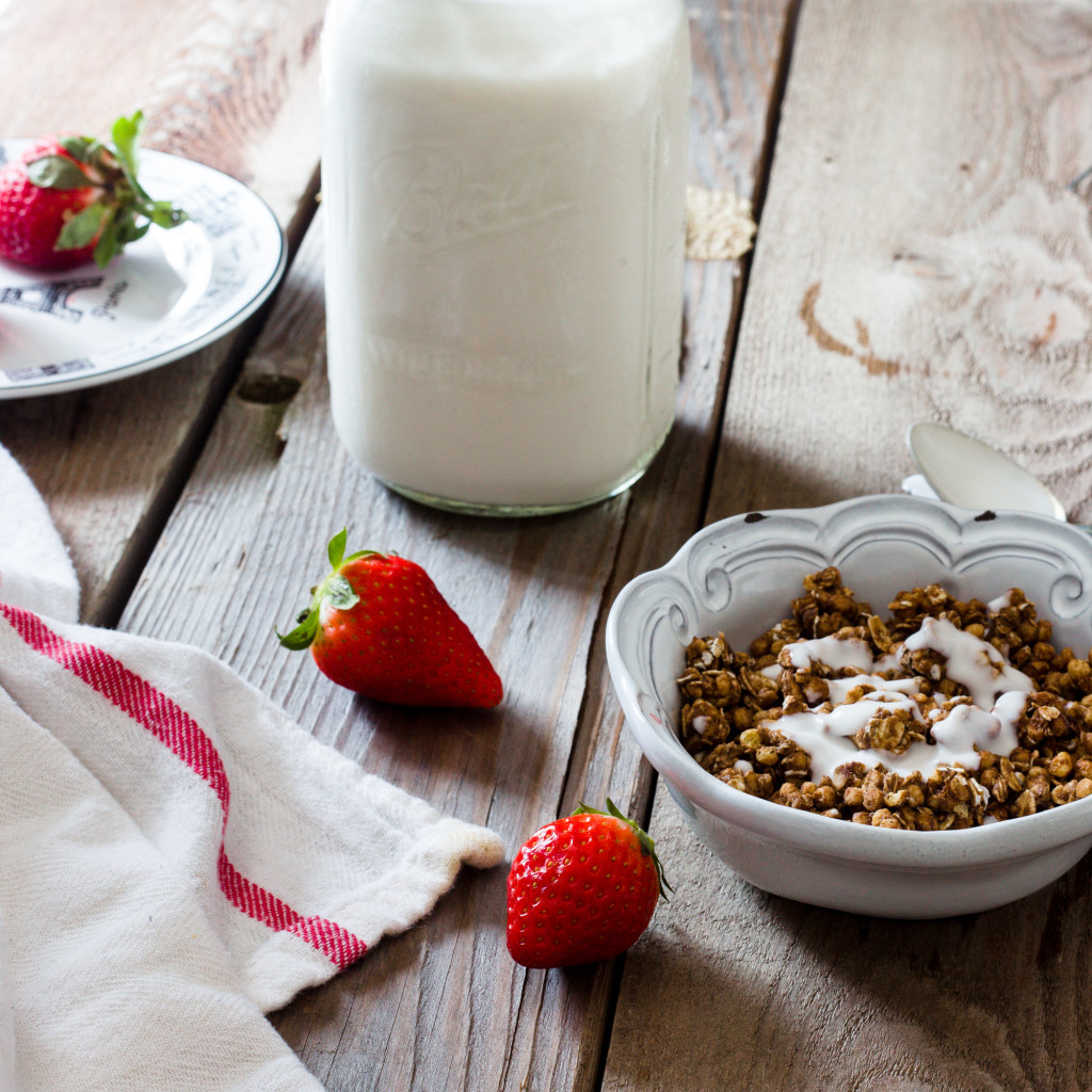 Homemade Coconut Yogurt