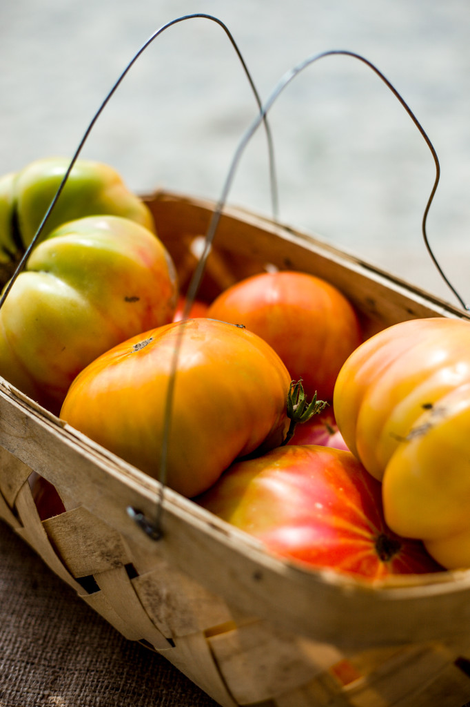 Basket of Tomatoes