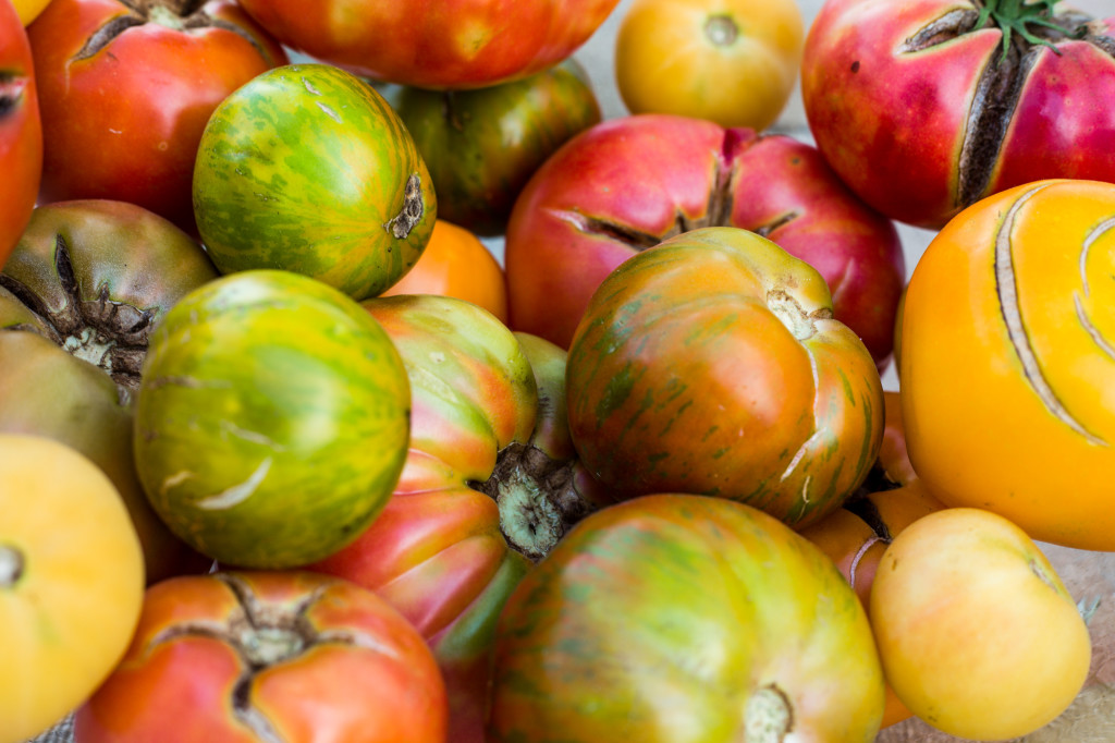 Plethora of Tomatoes