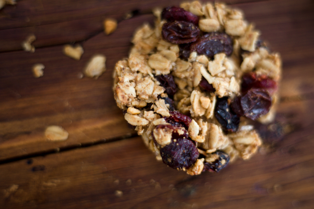 Vegan Breakfast Cookies-148
