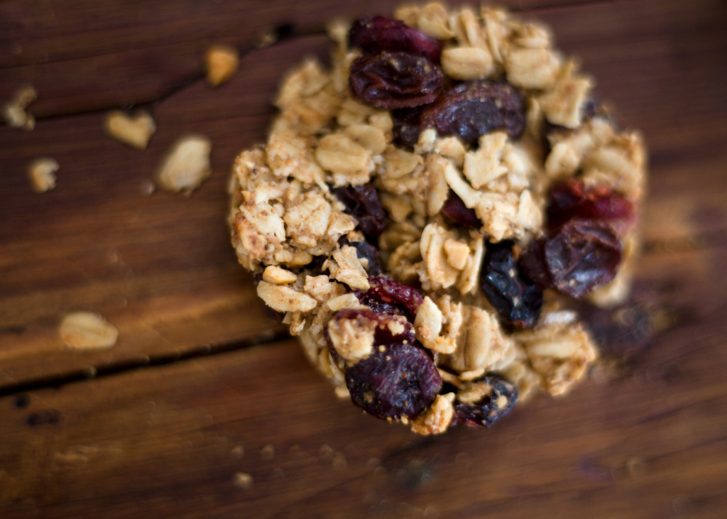 Vegan Breakfast Cookies-148-2